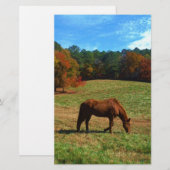 Red Brown horse, fall trees, blue skies (Front/Back)