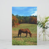 Red Brown horse, fall trees, blue skies (Standing Front)