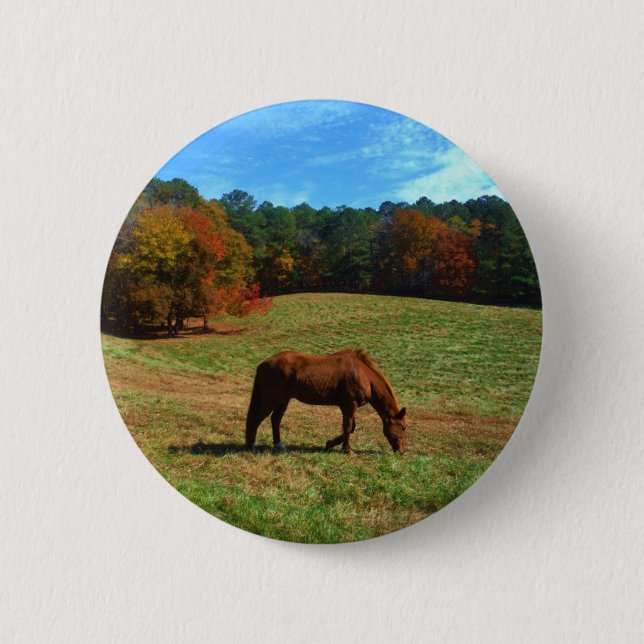 Red Brown horse, fall trees, blue skies Button (Front)
