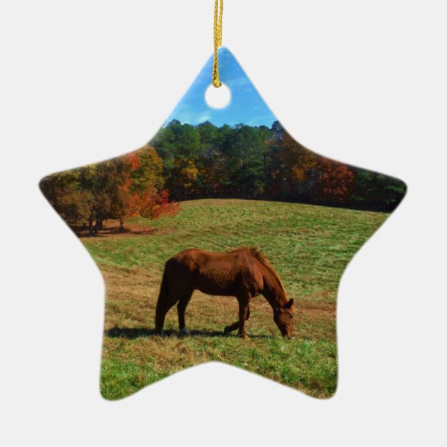 Red Brown horse, fall trees, blue skies Ceramic Ornament (Front)