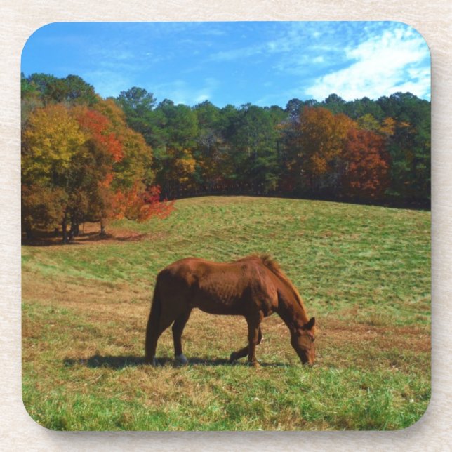Red Brown horse, fall trees, blue skies Coaster (Front)