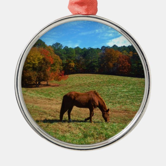 Red Brown horse, fall trees, blue skies Metal Ornament (Front)