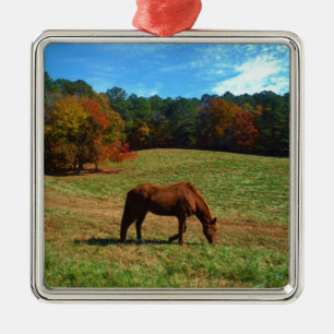 Red Brown horse, fall trees, blue skies Metal Ornament