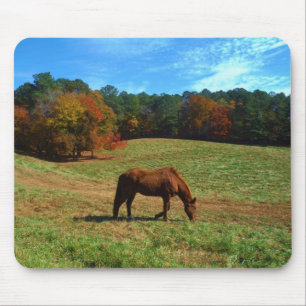 Red Brown horse, fall trees, blue skies Mouse Pad