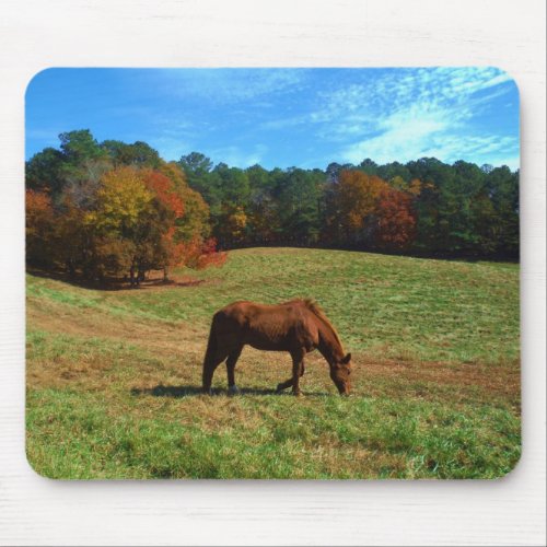 Red Brown horse fall trees blue skies Mouse Pad