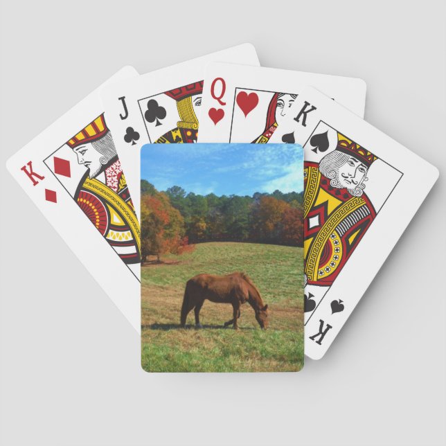 Red Brown horse, fall trees, blue skies Poker Cards (Back)