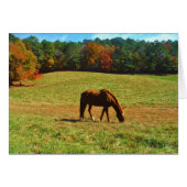 Red Brown horse in the autumn trees (Front Horizontal)