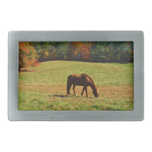 Red Brown horse in the  autumn trees Belt Buckle