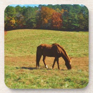 Red Brown horse in the  autumn trees Beverage Coaster