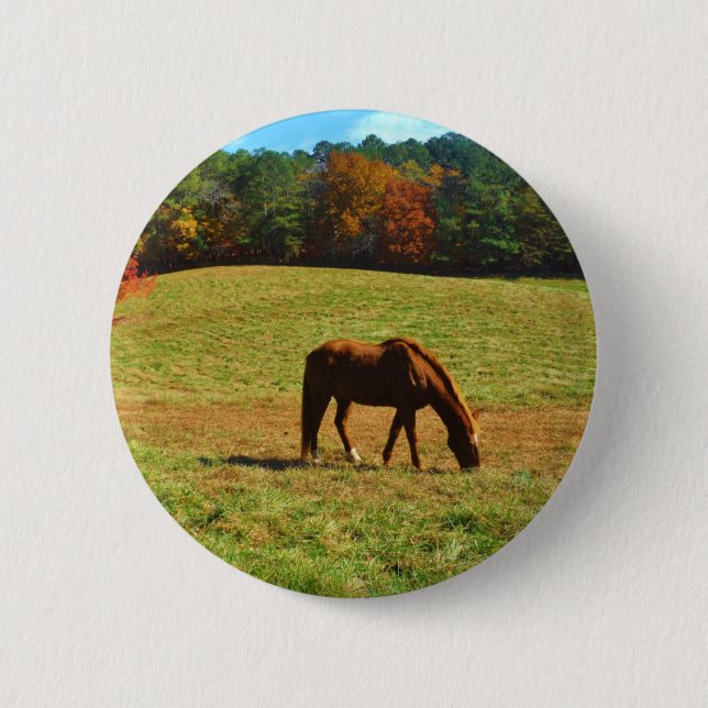 Red Brown horse in the  autumn trees Button (Front)