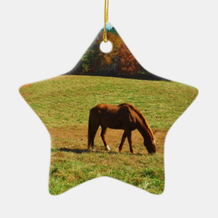 Red Brown horse in the  autumn trees Ceramic Ornament