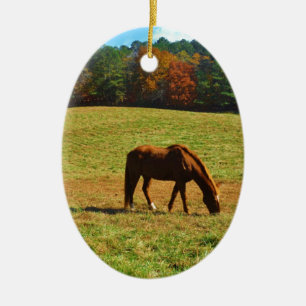 Red Brown horse in the autumn trees Ceramic Ornament