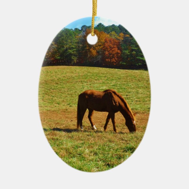 Red Brown horse in the  autumn trees Ceramic Ornament (Front)