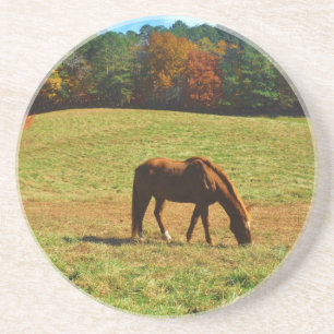 Red Brown horse in the  autumn trees Coaster