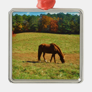 Red Brown horse in the autumn trees Metal Ornament