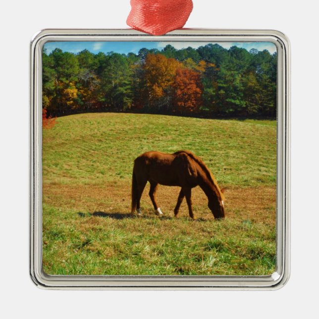 Red Brown horse in the  autumn trees Metal Ornament (Front)