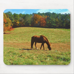 Red Brown horse in the autumn trees Mouse Pad