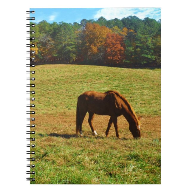 Red Brown horse in the  autumn trees Notebook (Front)