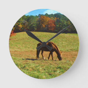 Red Brown horse in the autumn trees Round Clock