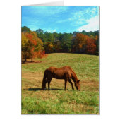 Red  Brown horse, Teal Blue sky (Front)