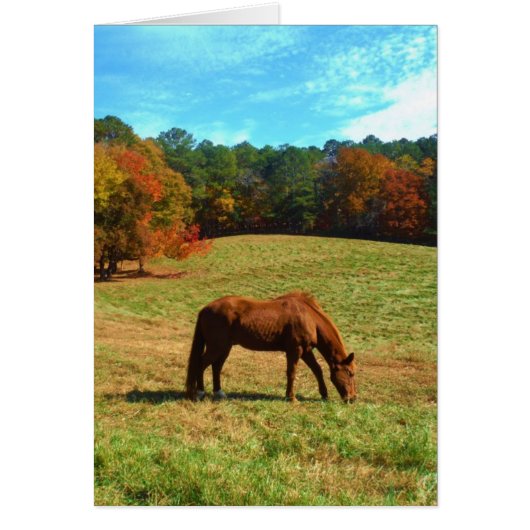Red  Brown horse, Teal Blue sky (Front)