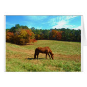 Red  Brown horse, Teal Blue sky (Front Horizontal)