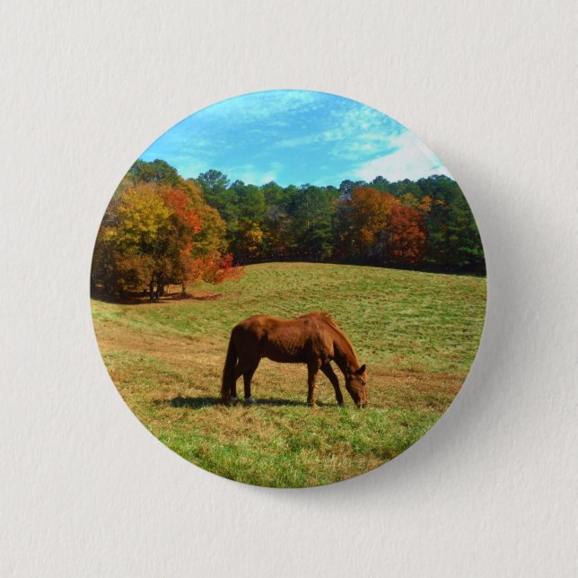Red  Brown horse, Teal Blue sky Button (Front)