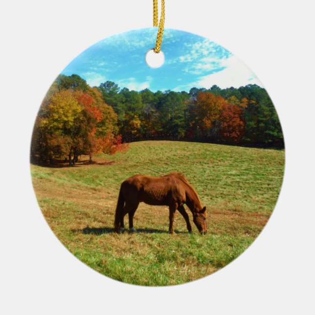 Red  Brown horse, Teal Blue sky Ceramic Ornament (Front)