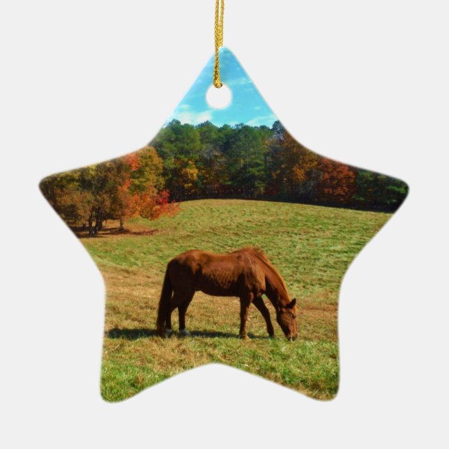 Red  Brown horse, Teal Blue sky Ceramic Ornament (Front)