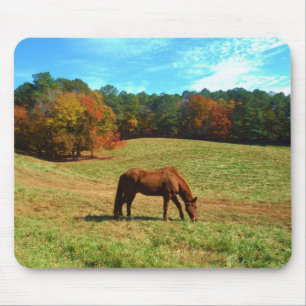 Red Brown horse, Teal Blue sky Mouse Pad