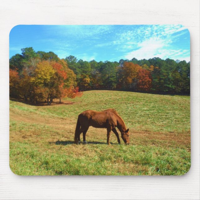 Red  Brown horse, Teal Blue sky Mouse Pad (Front)