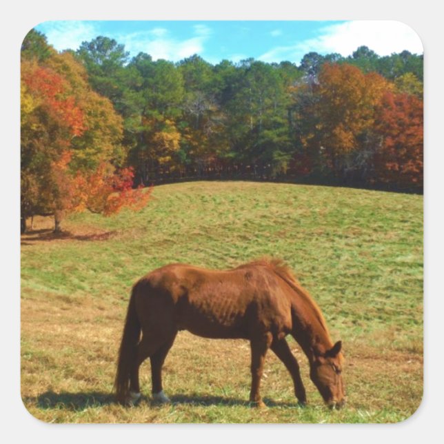 Red  Brown horse, Teal Blue sky Square Sticker (Front)