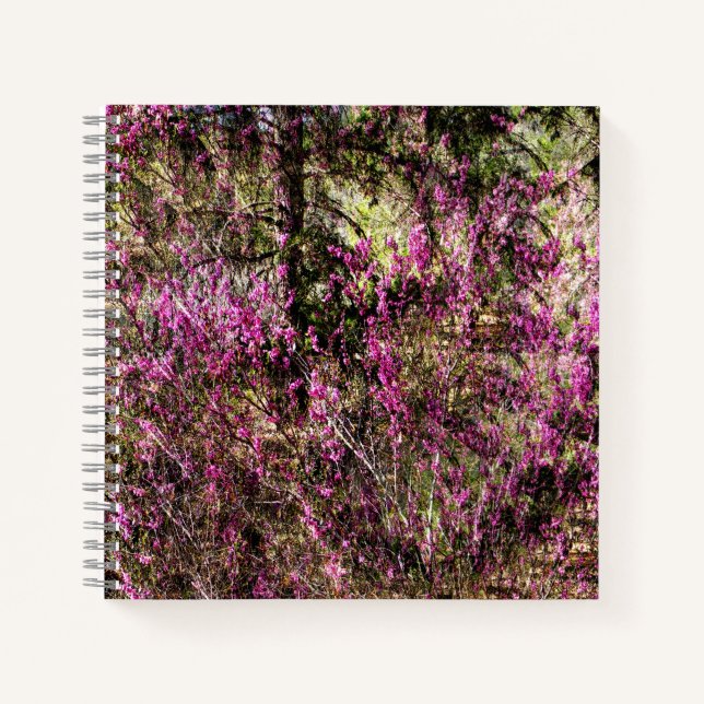 Red Bud Trees...... Notebook (Front)