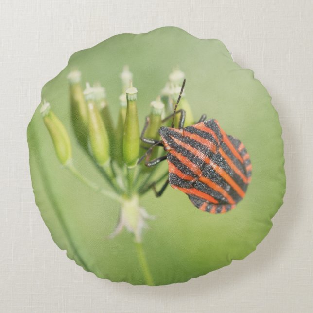 Red Bug - One More Bottle Does Not Hurt Round Pillow (Back)