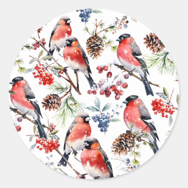 Red Bullfinch Christmas Birds Berries & Pine Cones Classic Round Sticker (Front)