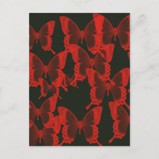 red butterfly from dark night background postcard