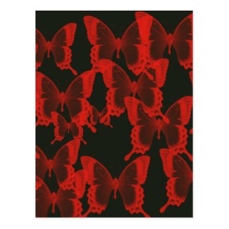 red butterfly from dark night background postcards