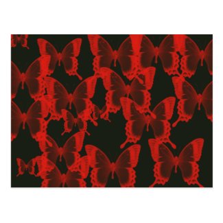 red butterfly from dark night  background postcard