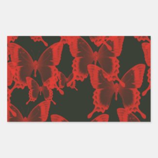 red butterfly from dark night background