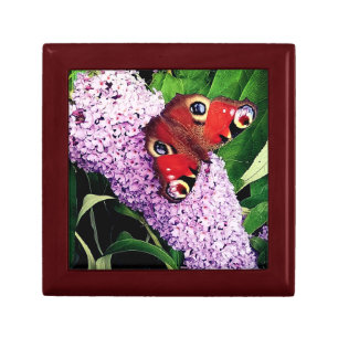 Red butterfly gift box