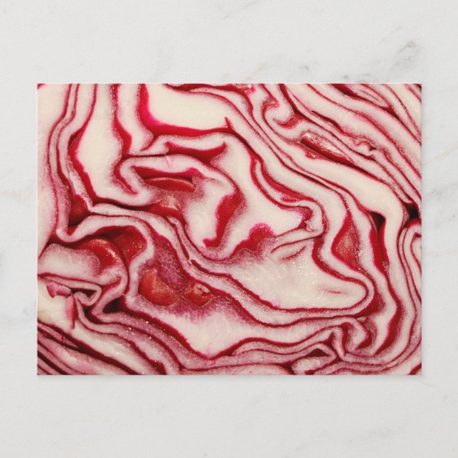 Red cabbage postcard (Front)
