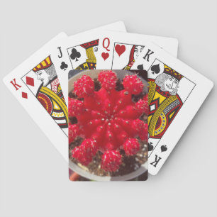 Red Cactus Blossom Top Garden Poker Cards