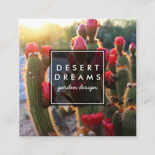 Red Cactus Flower Desert Garden Photo Travel Tours Square Business Card