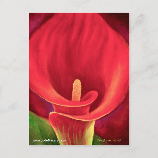 Red Cala Lily Tropical Flower Art - Multi Postcard (Front)
