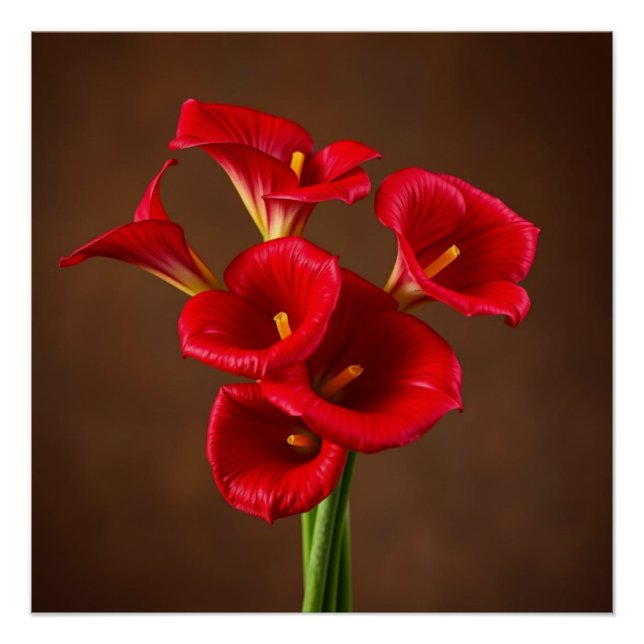 red callas poster (Front)