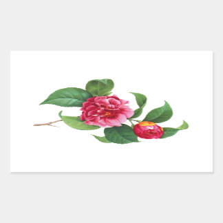 Red Camellia by Pierre Joseph Redoute Rectangular Sticker