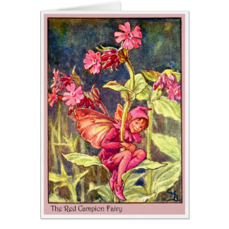 Red Campion Fairy Cards