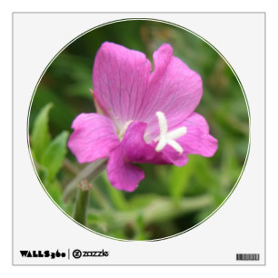 Red Campion Wildflower Wall Decal