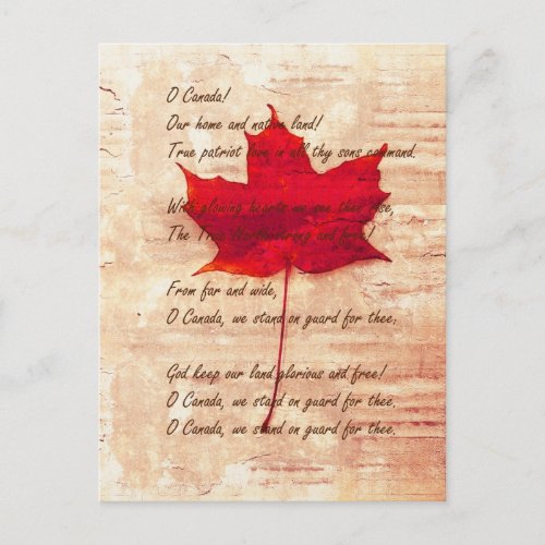 red Canadian maple leaf with national anthem Postcard