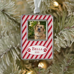 Red Candy Cane Stripes Dog Photo Framed Ornament